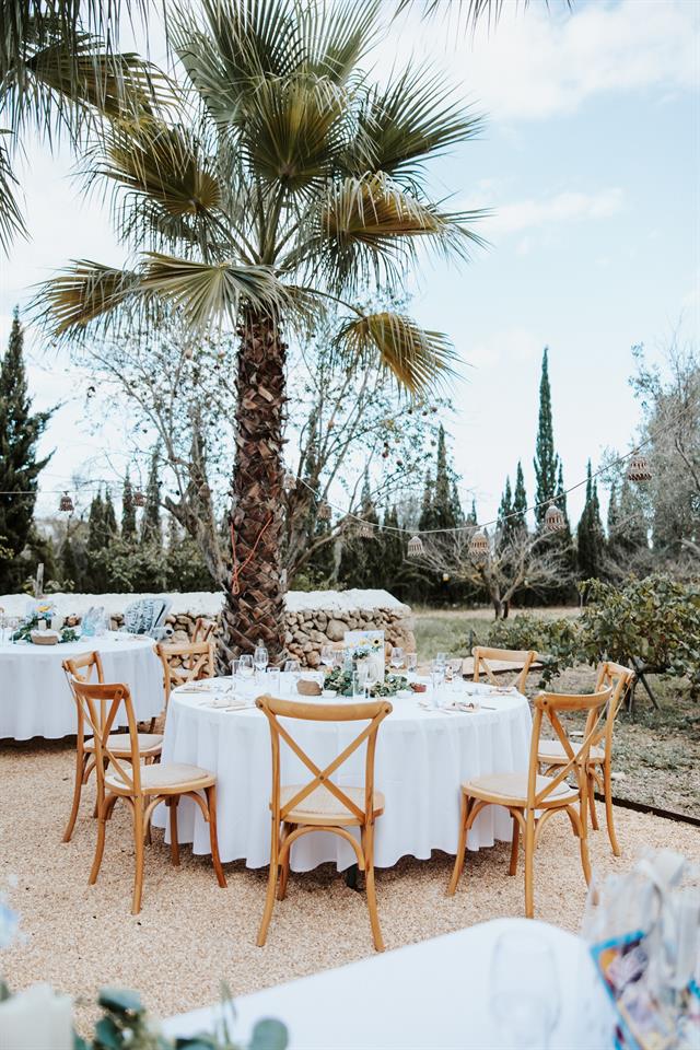 A dinner table beside a palm tree