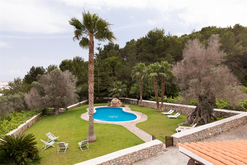 The pool and lawn seen from above