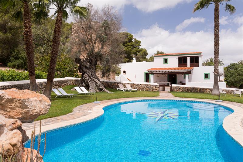 Pool framed by palm trees and rocks
